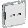 Розетка IEK BRITE BR-U21-D31-K91